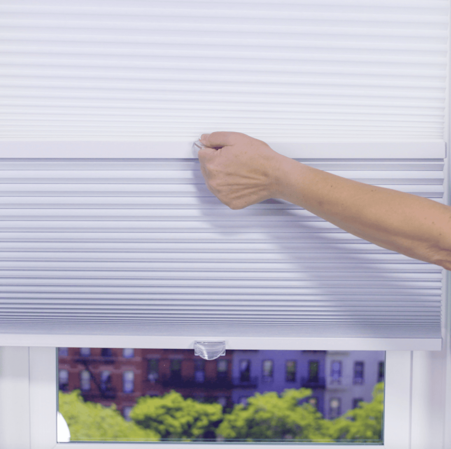5/8" Day/Night Single Cell Cellular Cordless Shades