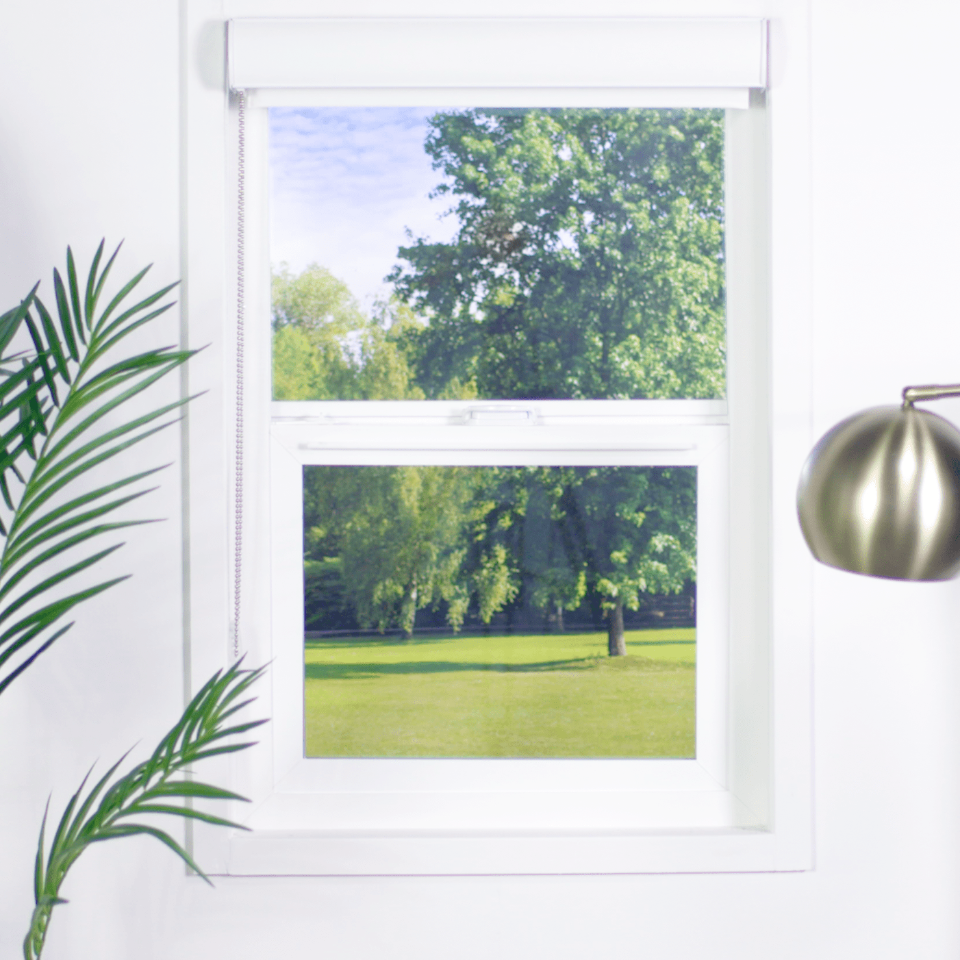 Premier 1% Solar Screen Roller Shades