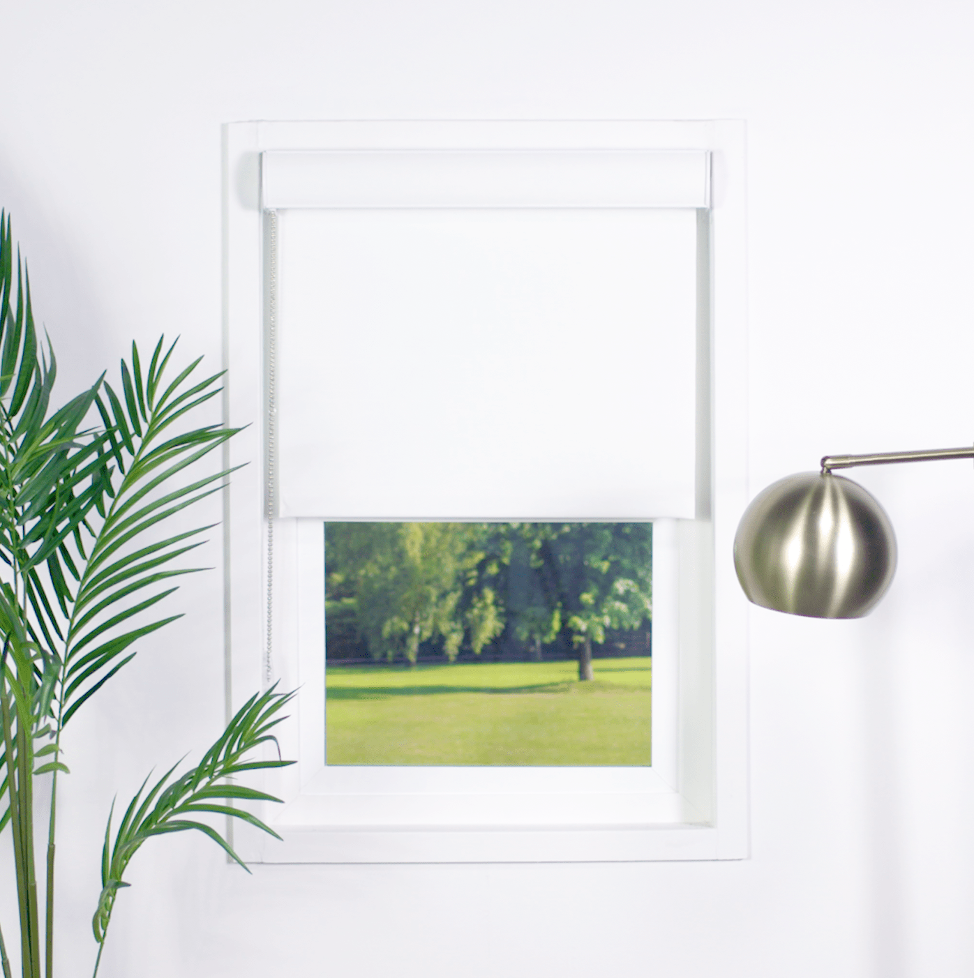 Premier 1% Solar Screen Roller Shades