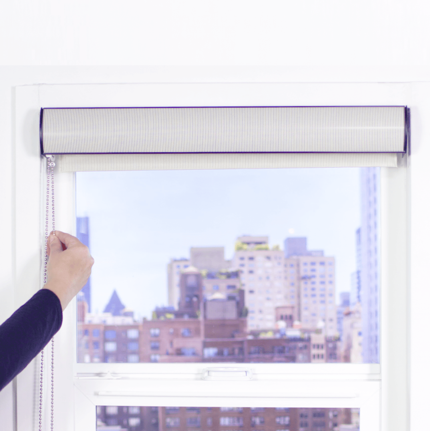 Premier 14% Solar Screen Roller Shade