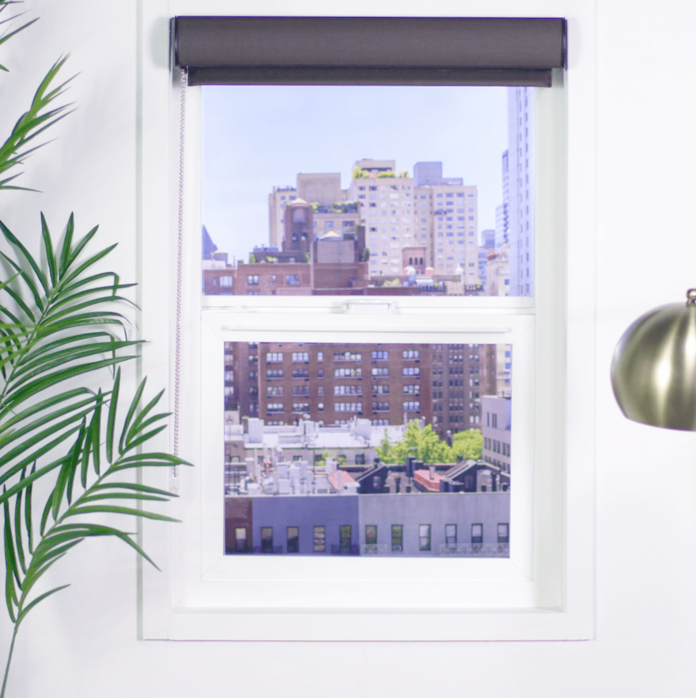 Premier 3% Solar Screen Roller Shade