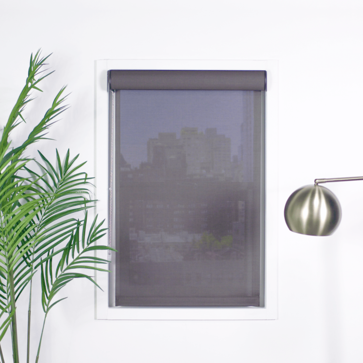 Premier 3% Solar Screen Roller Shade