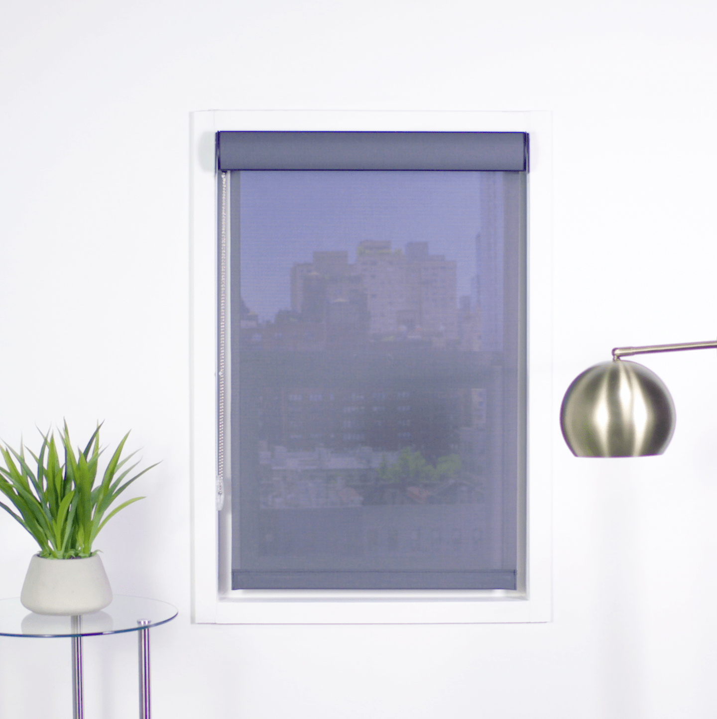 Premier 5% Solar Screen Roller Shade