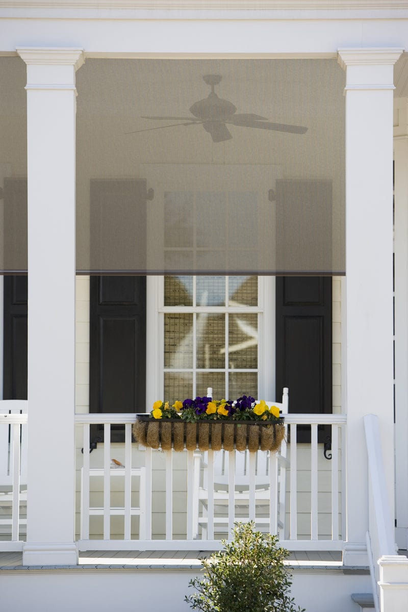 Premier 5% Solar Screen Roller Shade
