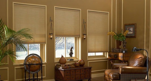 3/8" Budget Single Cell Light Filtering Cordless Shades