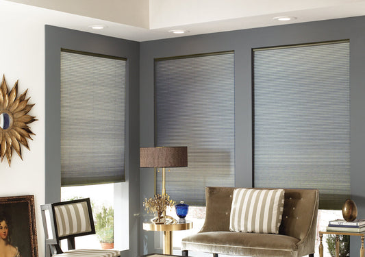3/8" Budget Double Cell Light Filtering Cordless Shades