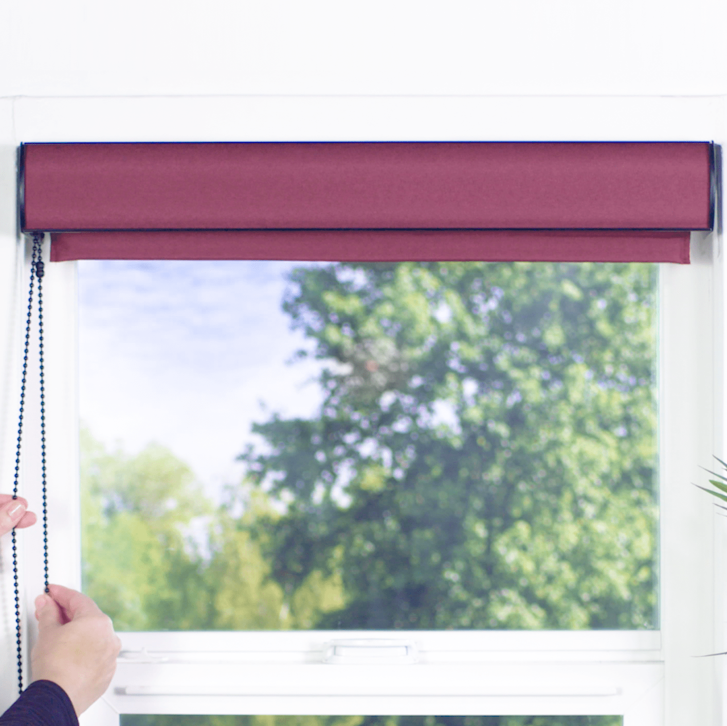 Contemporary Fabric Light Filtering Roller Shades