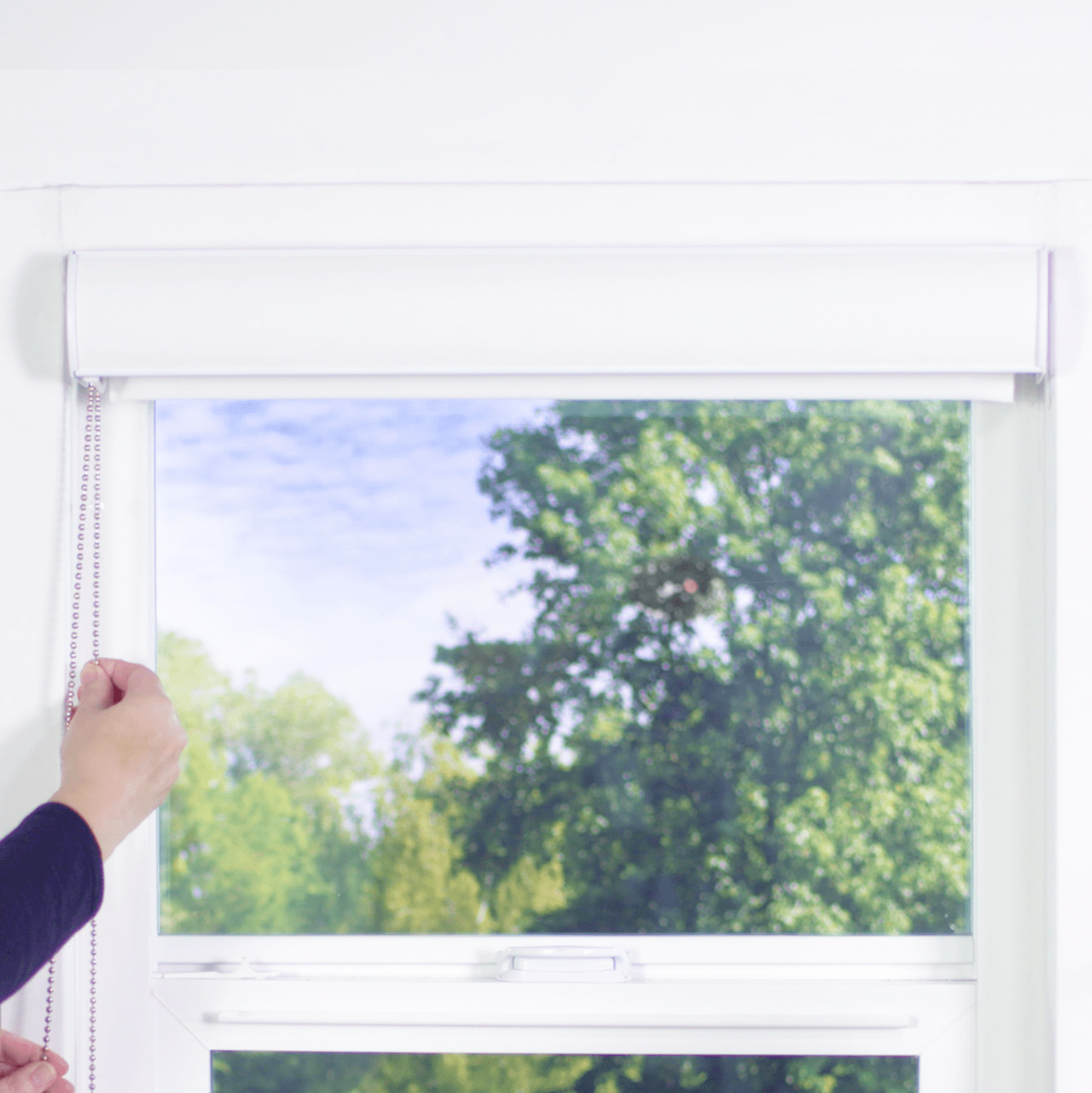 Premier 1% Solar Screen Roller Shades