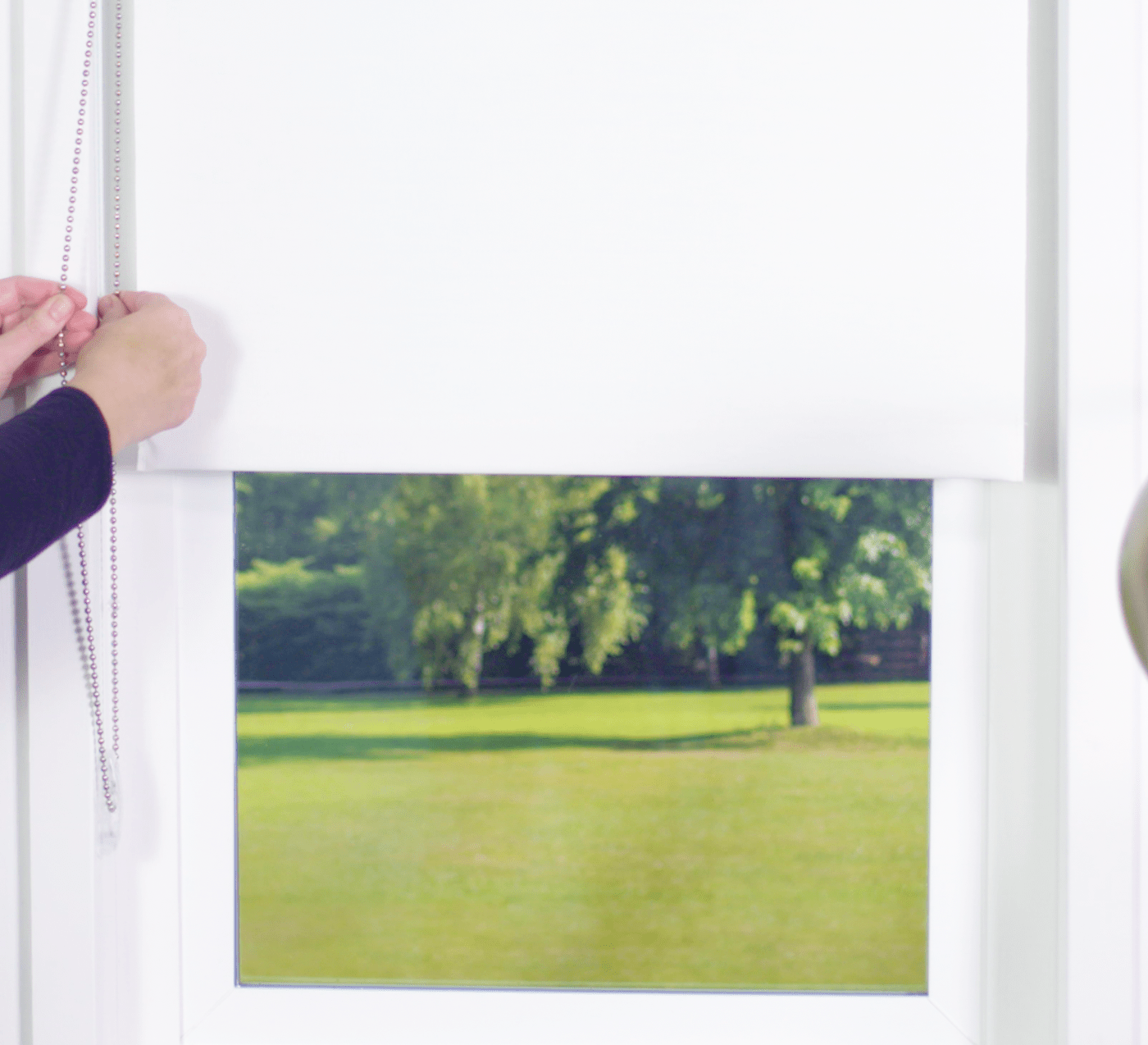 Premier 1% Solar Screen Roller Shades