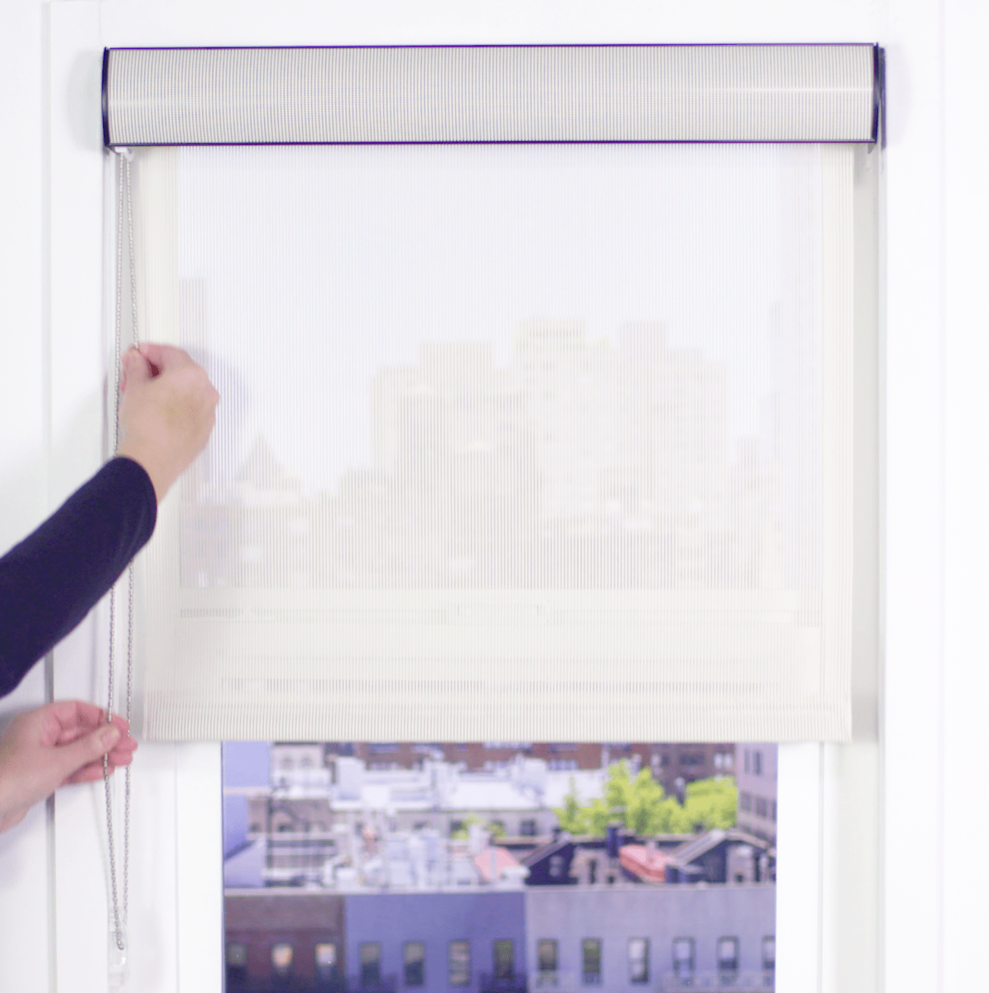 Premier 14% Solar Screen Roller Shade