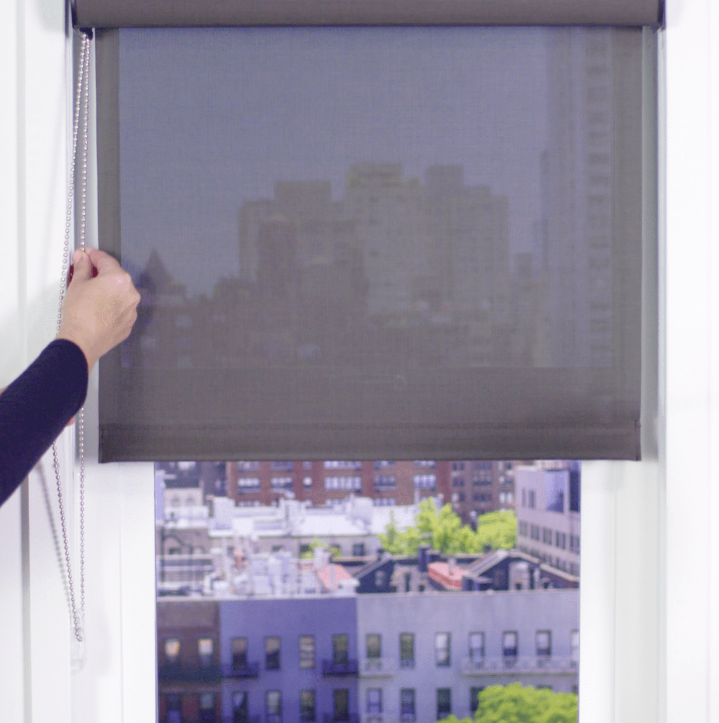 Premier 3% Solar Screen Roller Shade