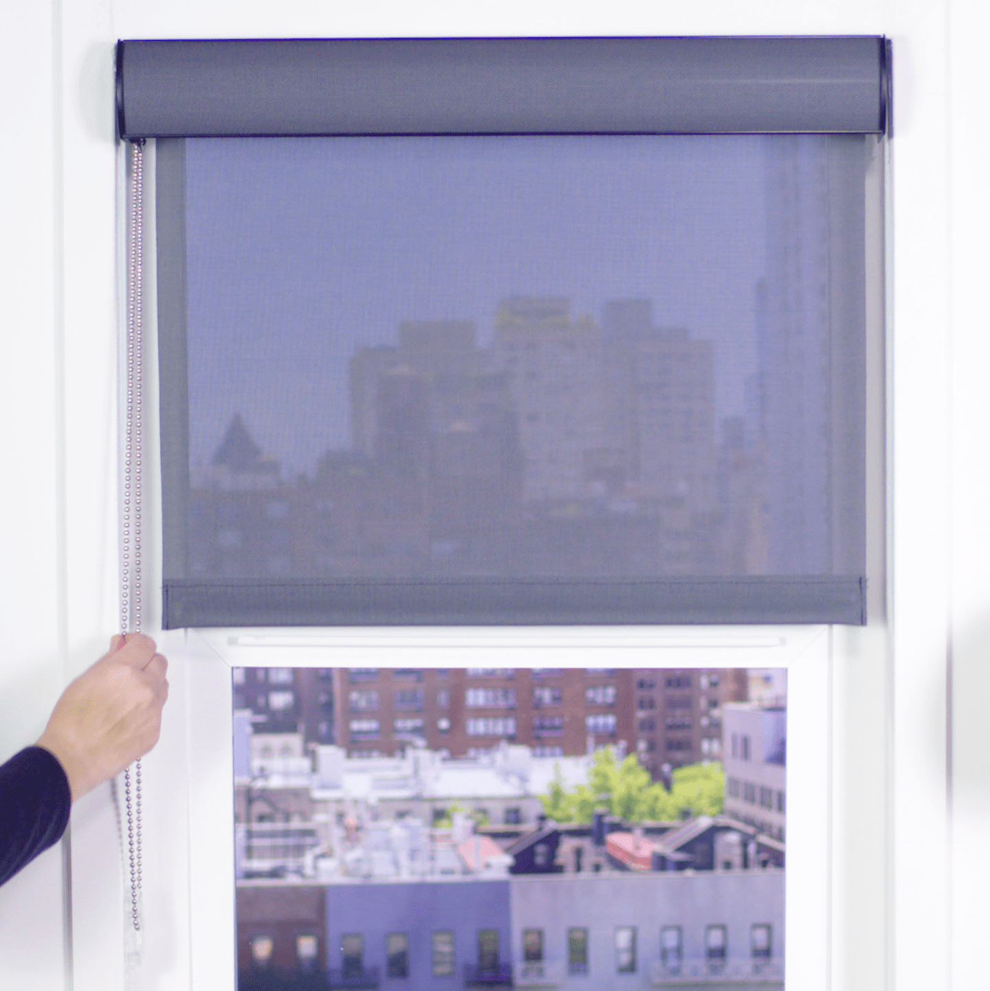 Premier 5% Solar Screen Roller Shade