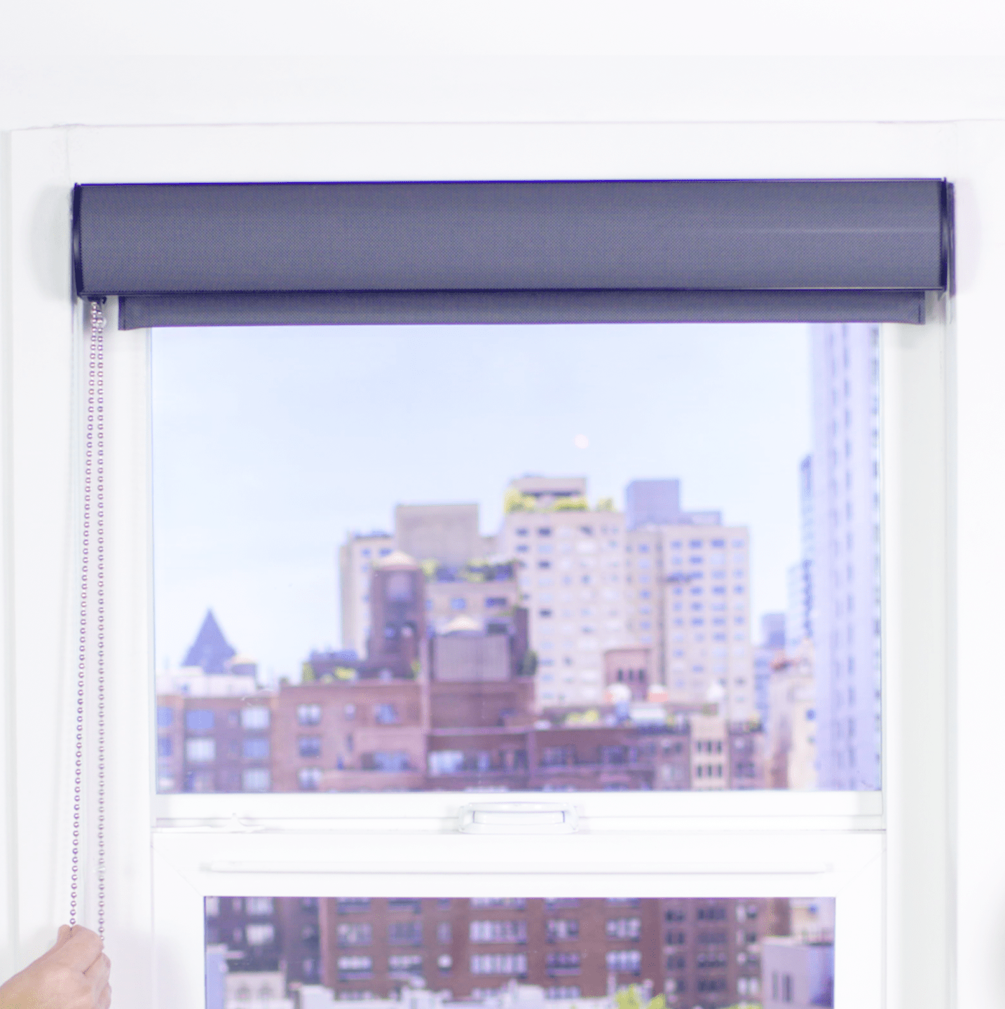 Premier 5% Solar Screen Roller Shade