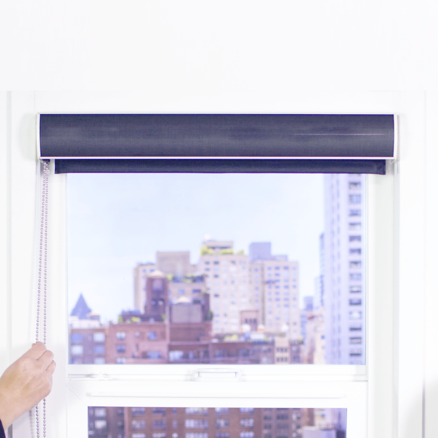 Premier 10% Solar Screen Roller Shade